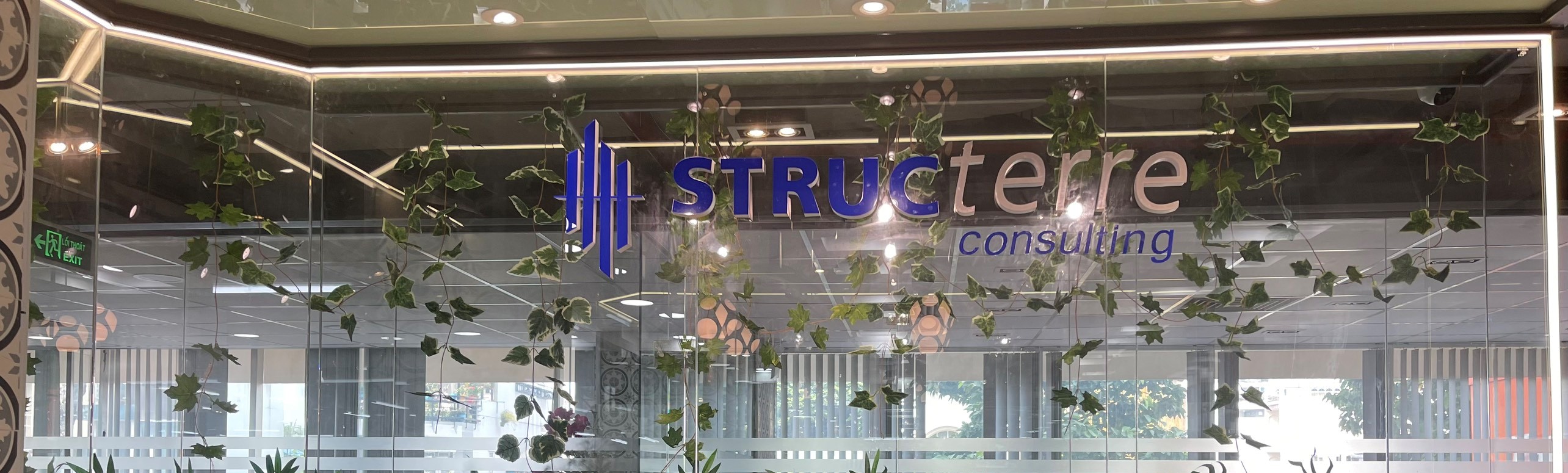 Cover image for Structerre