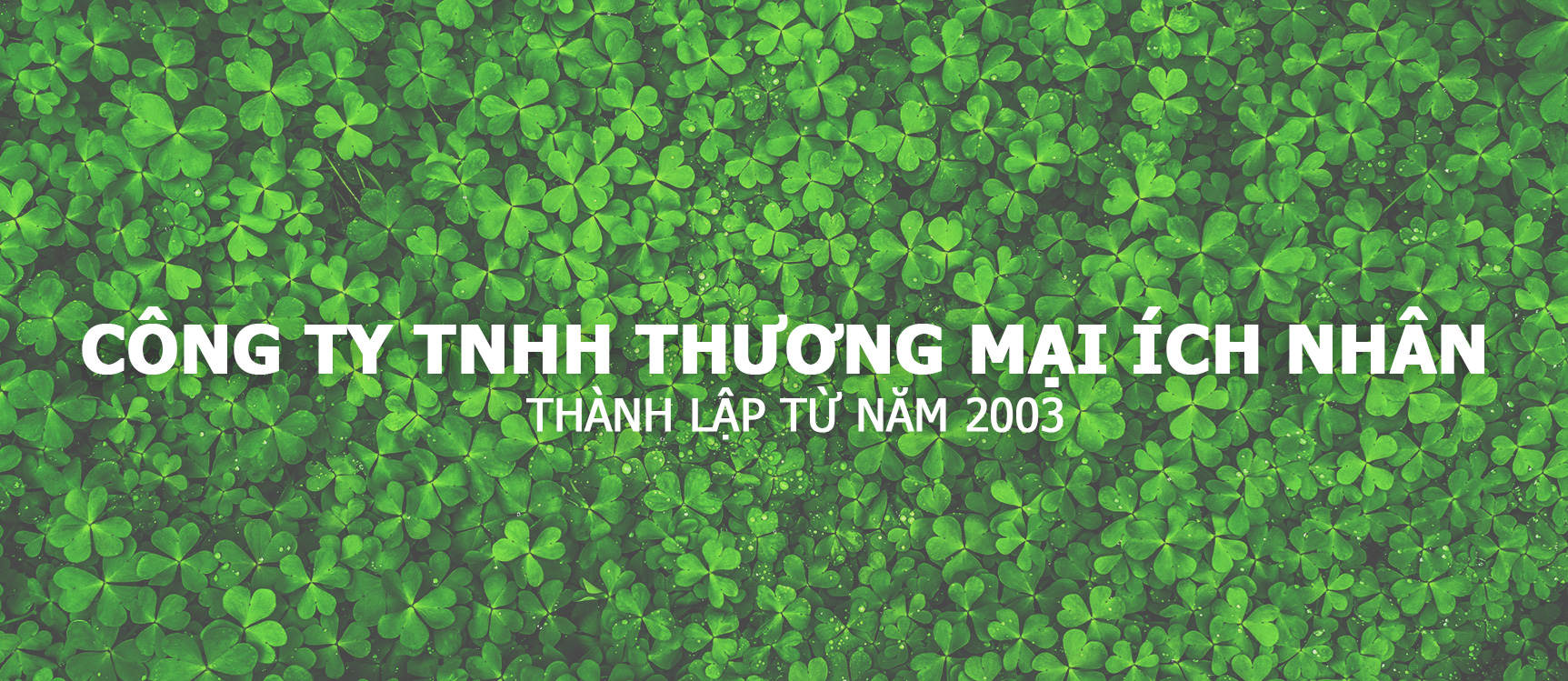 Cover image for CÔNG TY THƯƠNG MẠI ÍCH NHÂN