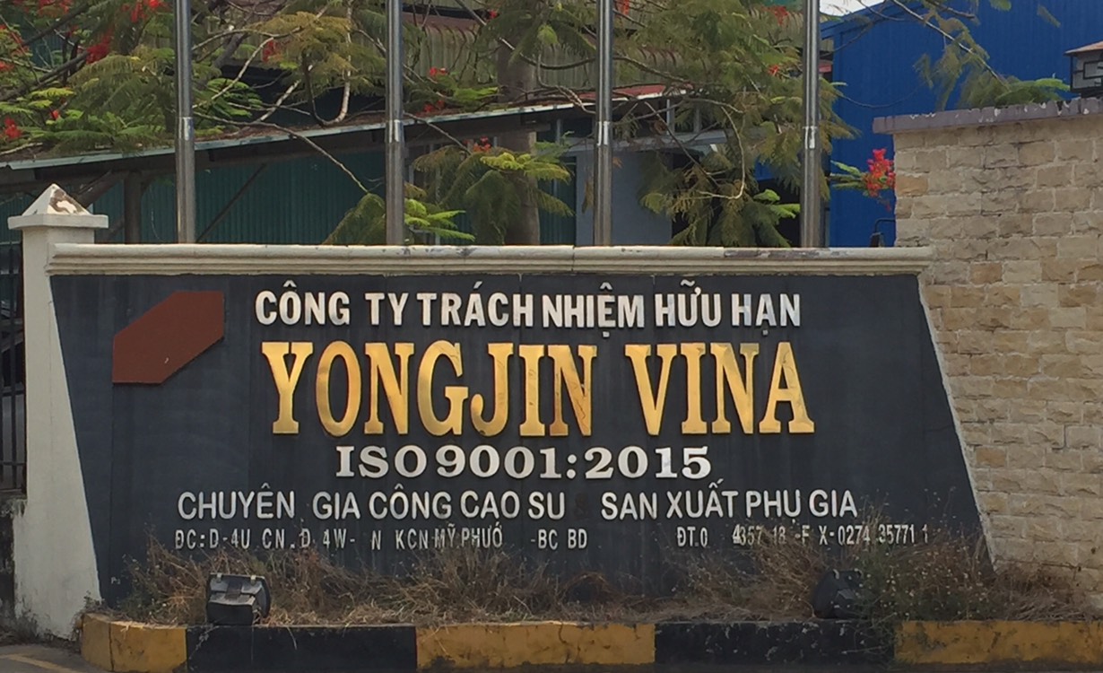 Cover image for YONG JIN