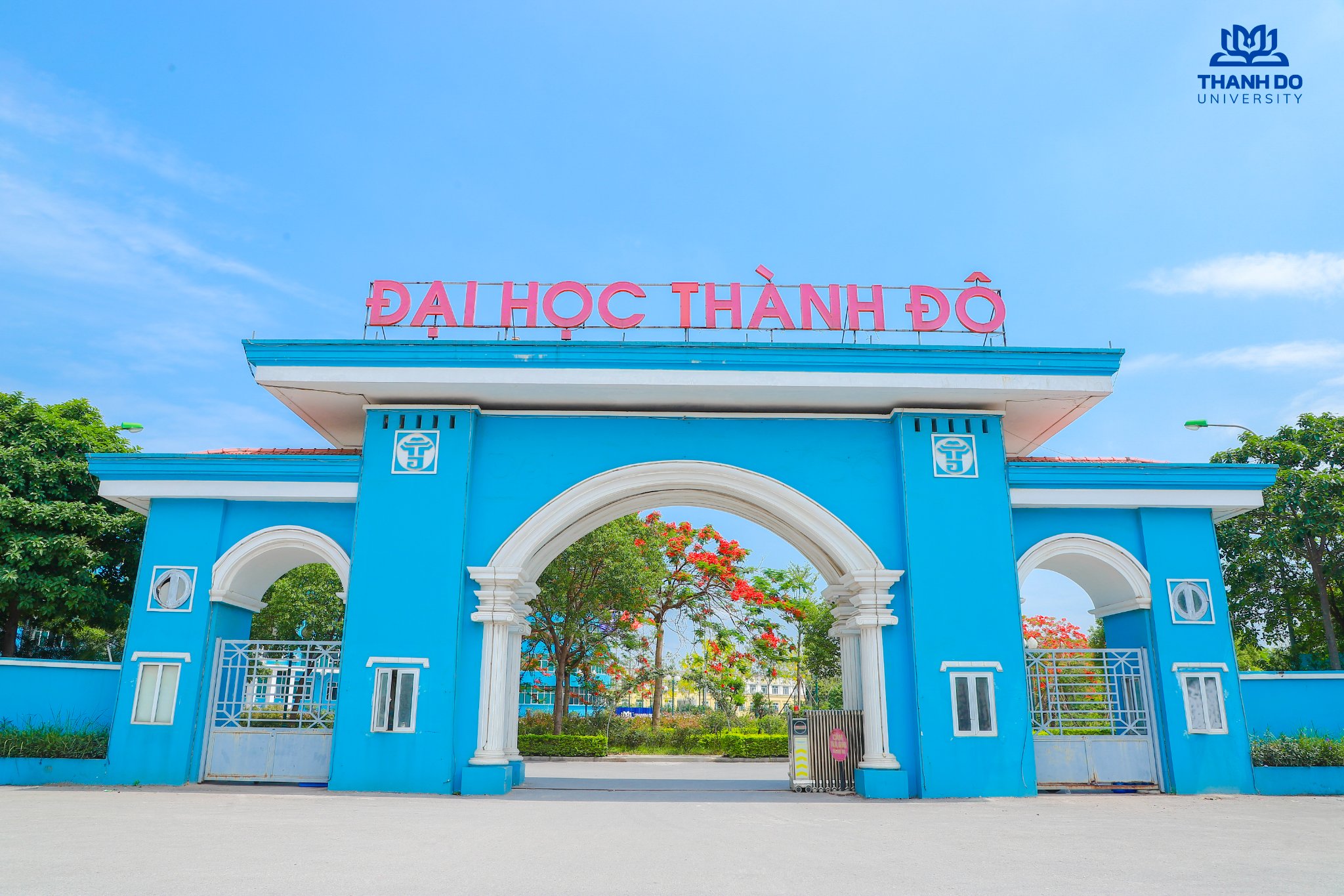 Cover image for Đại học Thành Đô