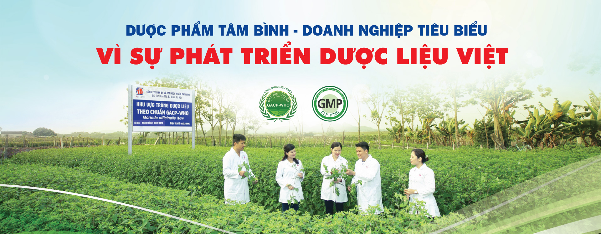 Cover image for Dược Phẩm Tân Bình