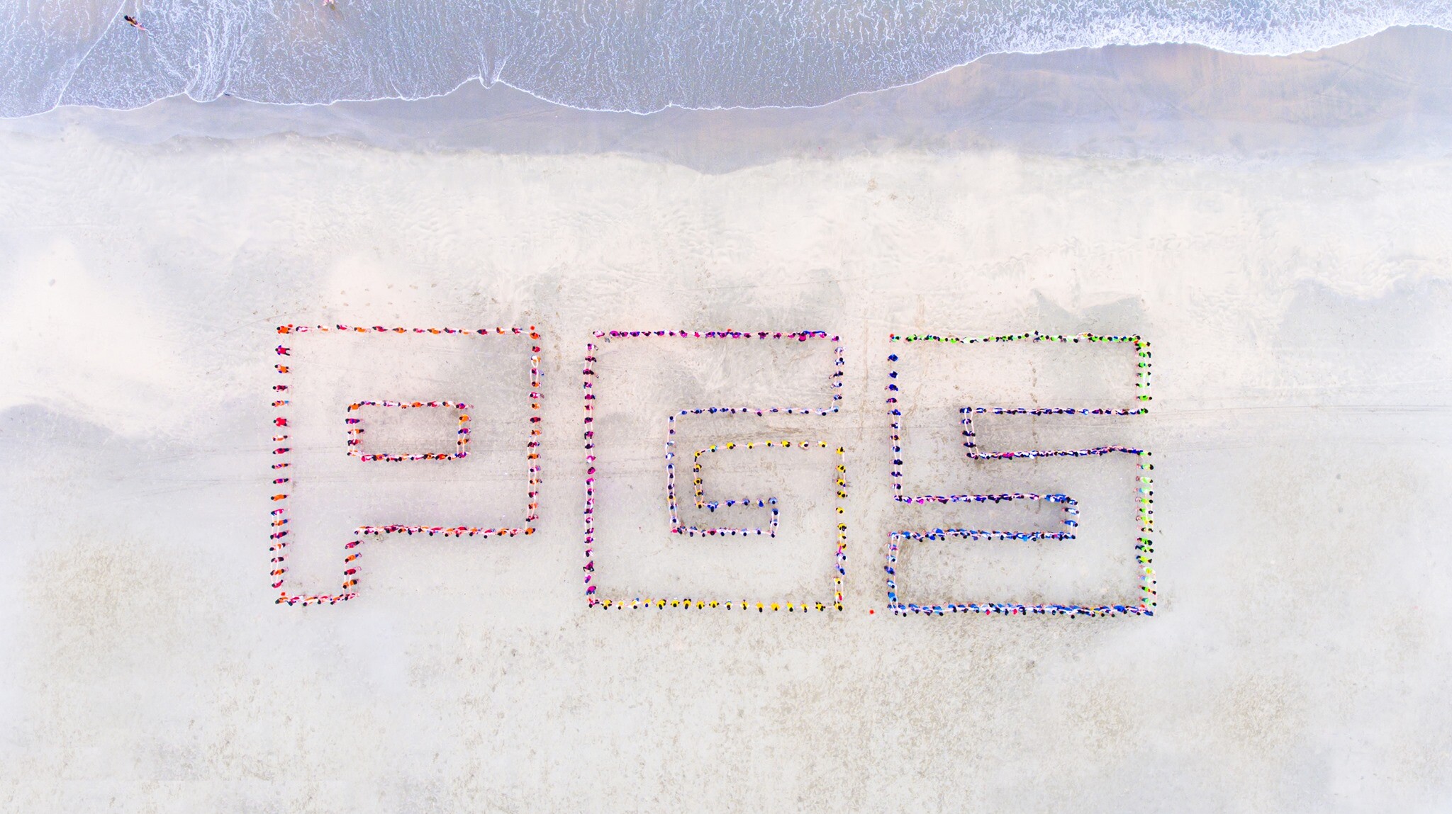 Cover image for TỔNG CÔNG TY PGS