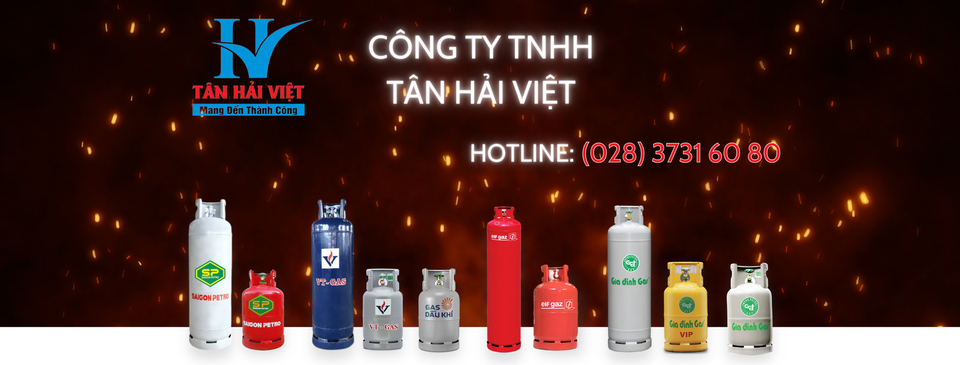 Cover image for TÂN HẢI VIỆT