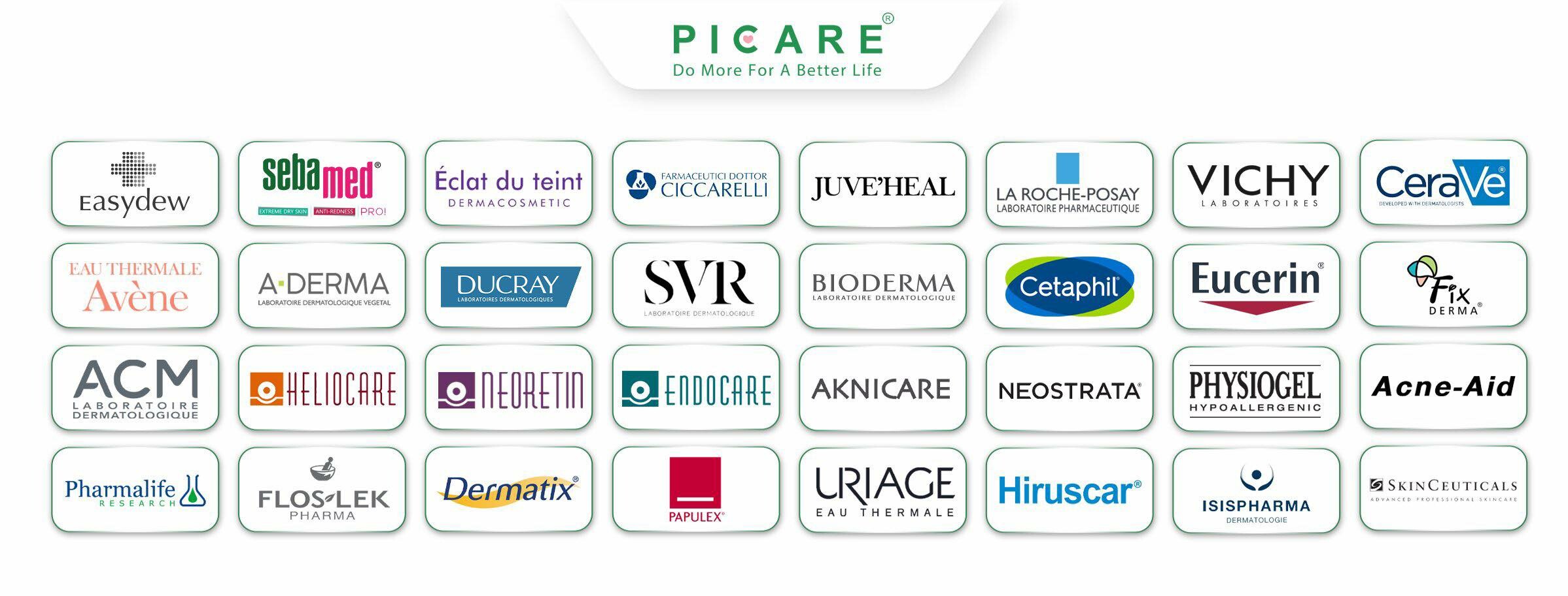 Cover image for Picare Viet Nam