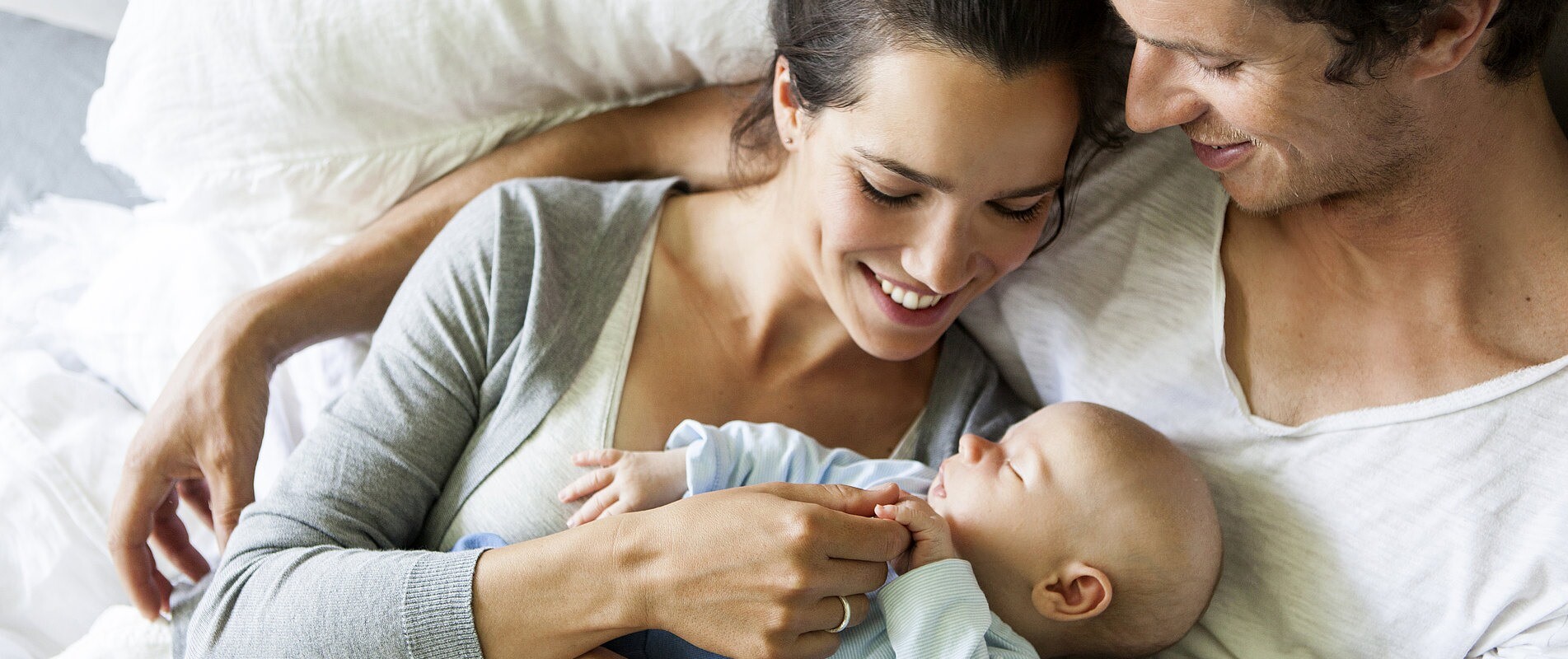 Cover image for TNCL