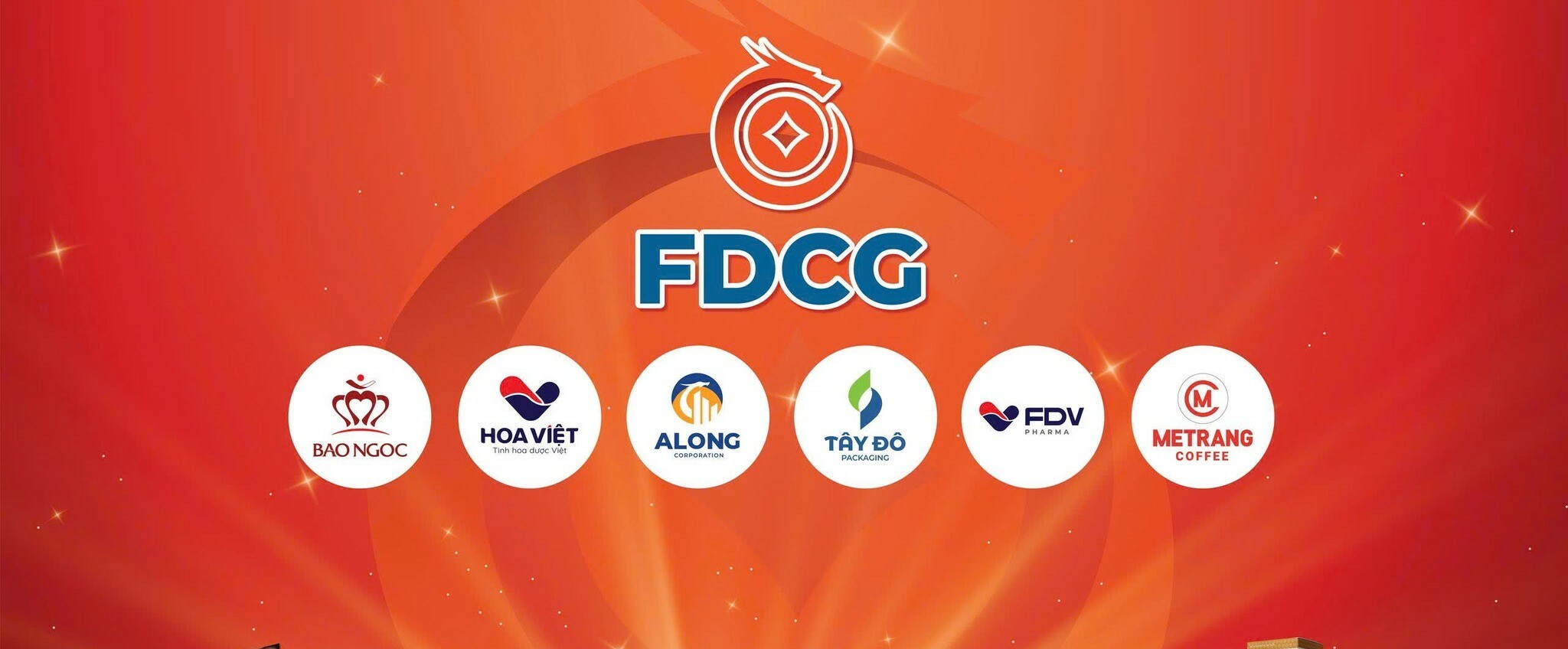 Cover image for FDCG HOLDING
