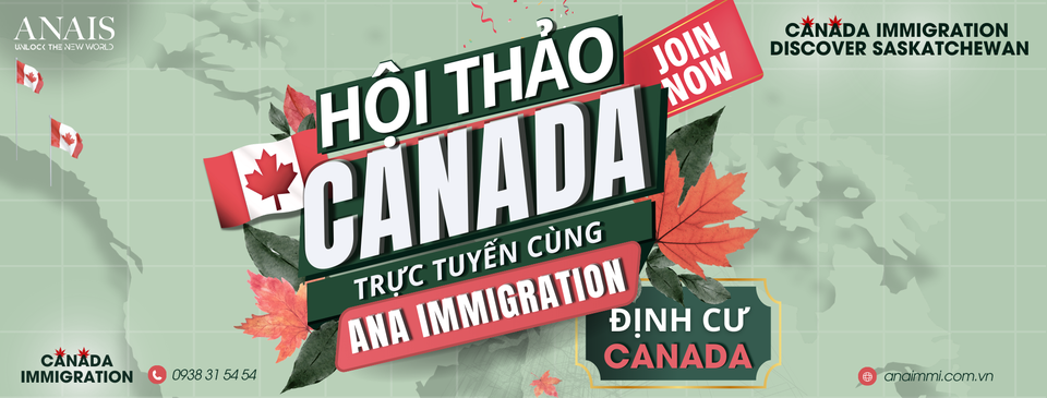 Cover image for Đầu tư ANAIS