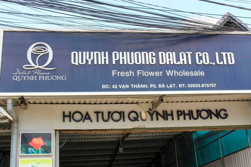 Cover image for Quỳnh Phương Đà Lạt