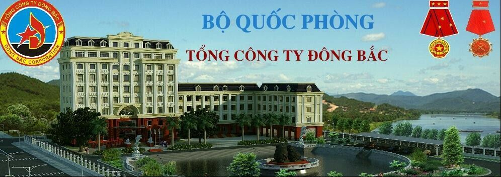 Cover image for Tổng công ty Đông Bắc