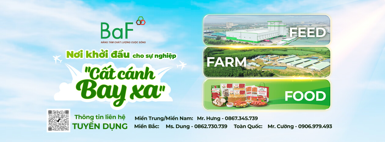 Cover image for BaF VIỆT NAM