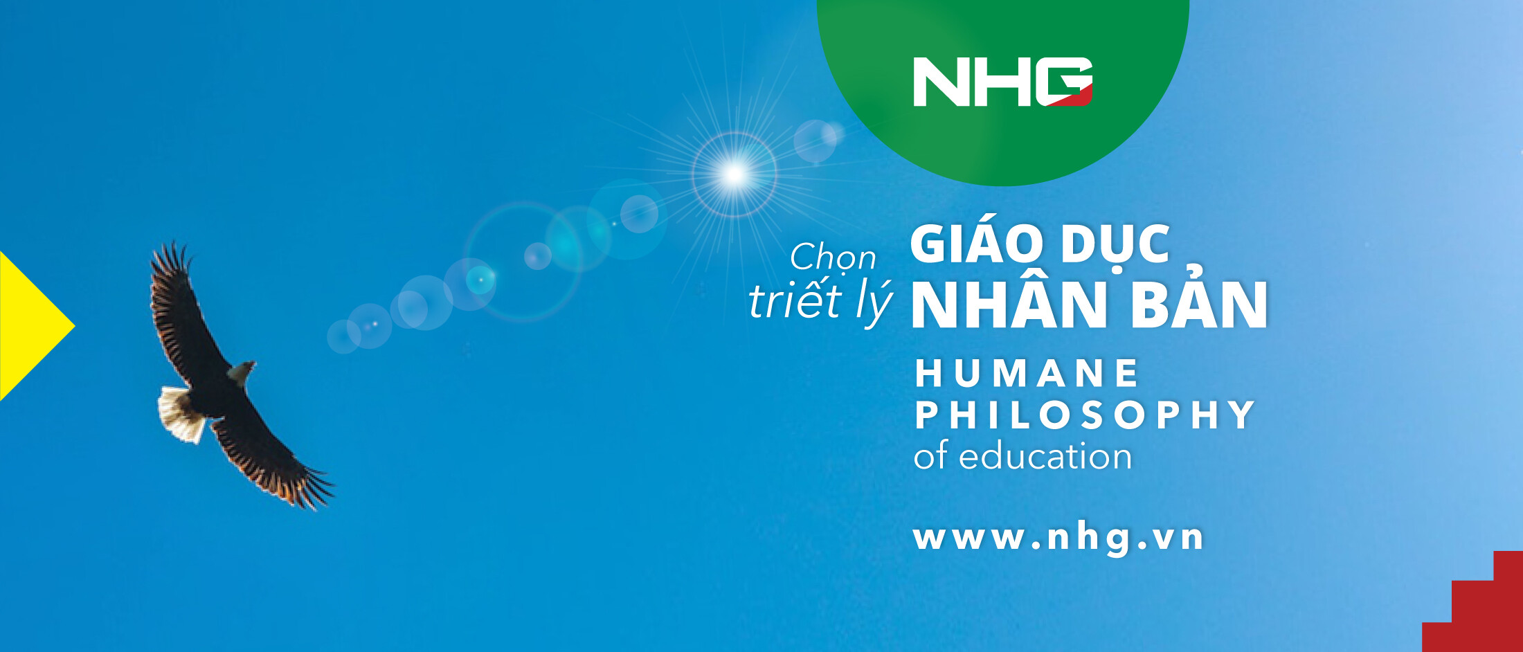 Cover image for Tập đoàn giáo dục Nguyễn Hoàng