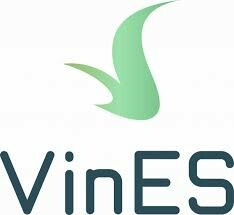 Cover image for VinES