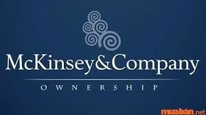 Cover image for MCKINSEY & COMPANY VIETNAM LTD.