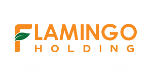 Cover image for Flamingo Holding Group