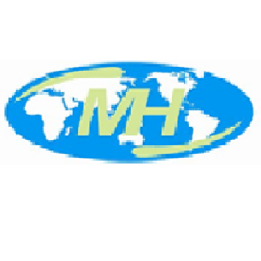 Logo Xuất Nhập Khẩu MH Global