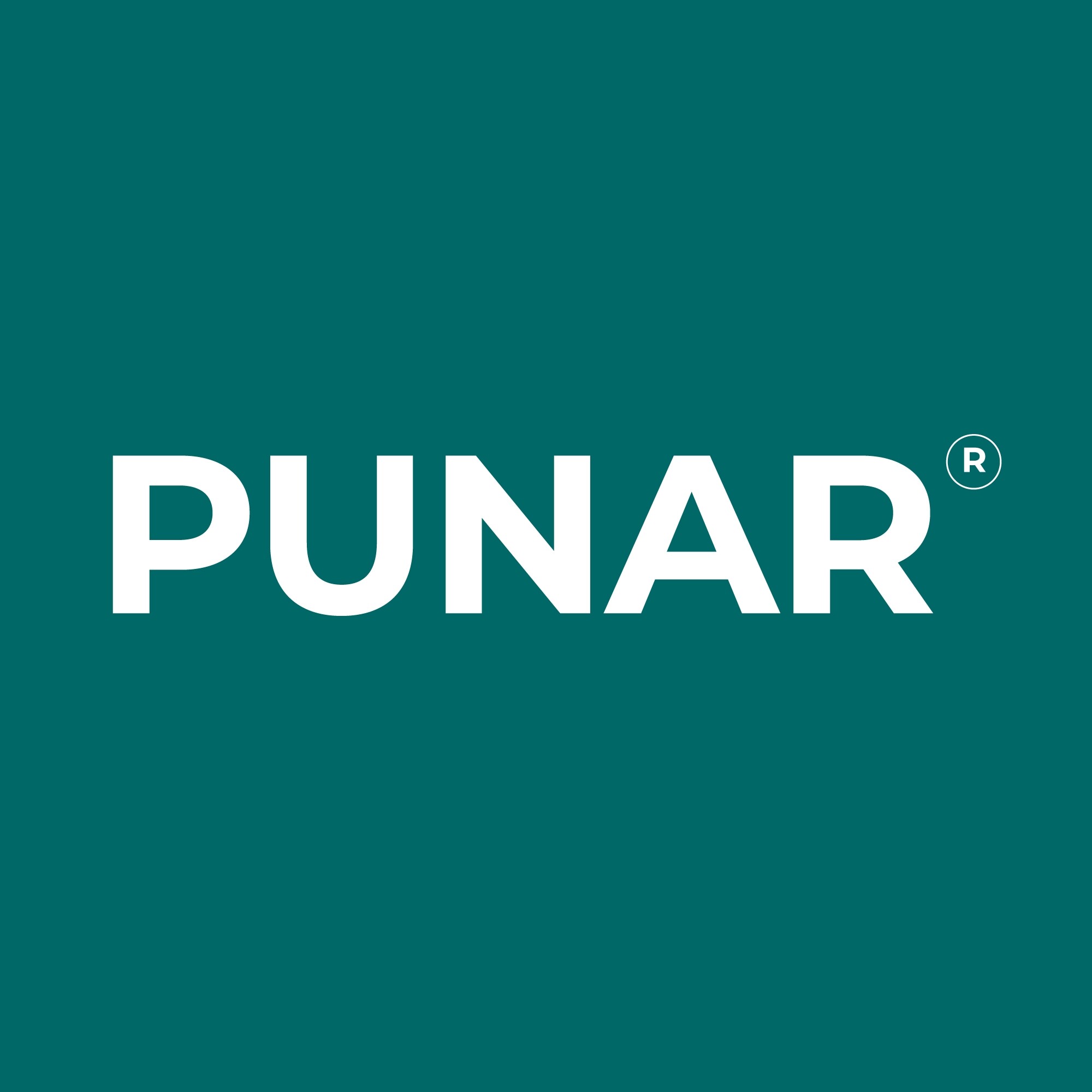 Logo PUNAR