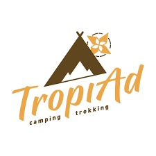 Công ty cổ phần TropiAd
