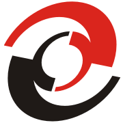 Pioneer Consulting Services