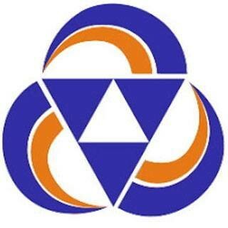 Pioneer Consulting Services