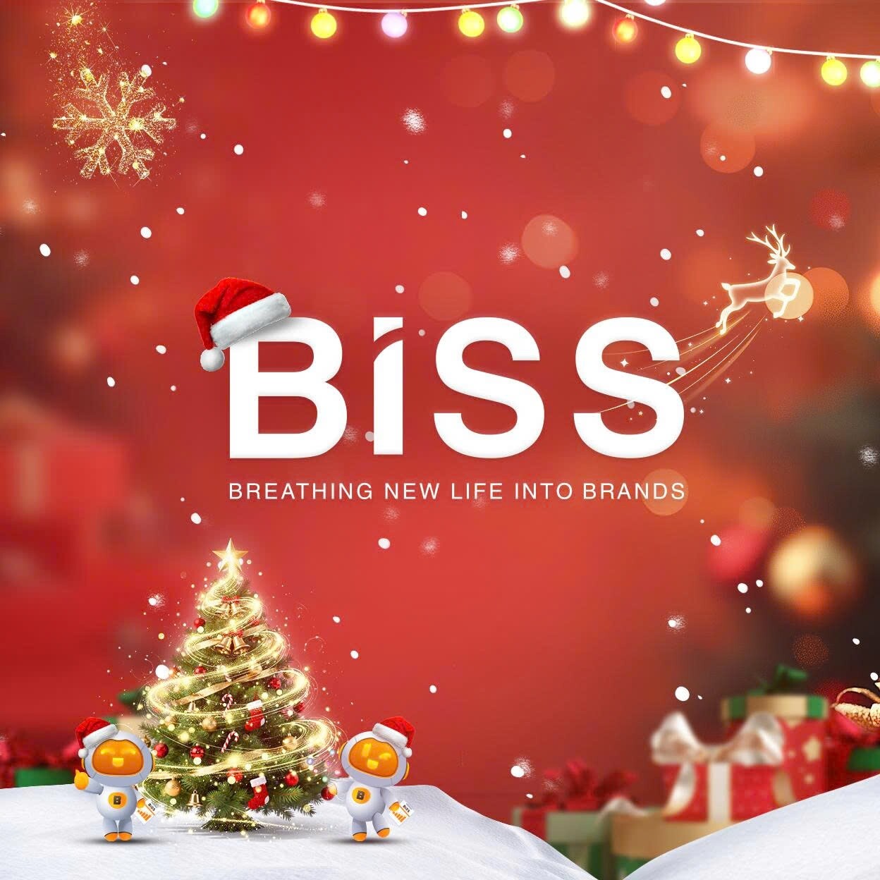 CÔNG TY CỔ PHẦN PHÁT TRIỂN THƯƠNG HIỆU BISS VIỆT NAM