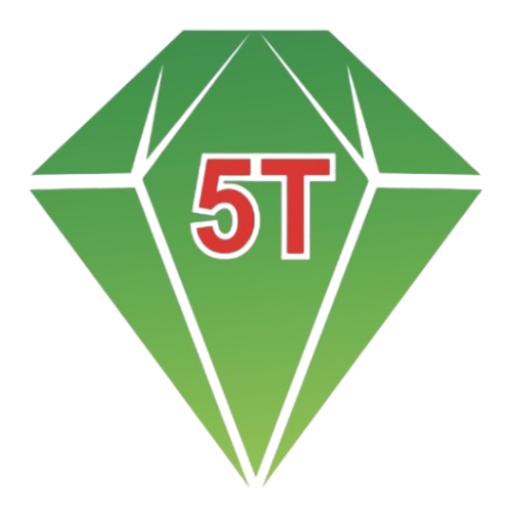 CÔNG TY TNHH KẾ TOÁN VÀ ĐẠI LÝ THUẾ 5T VIỆT NAM