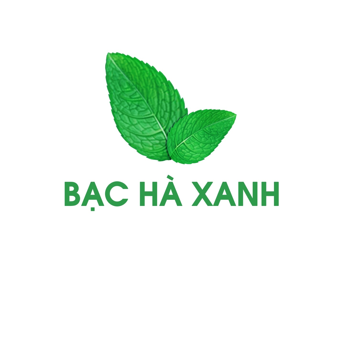 Công ty TNHH XNK Bạc Hà Xanh