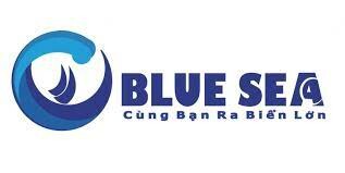 Logo Blue Sea Helmet