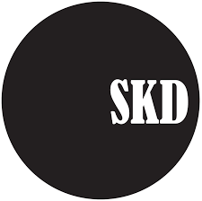 Pioneer Consulting Services