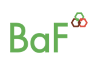 Logo BaF VIỆT NAM