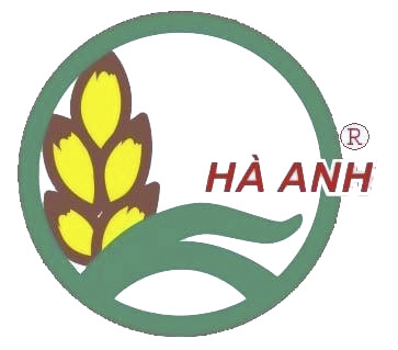 Logo Xuất Nhập Khẩu Hà Anh