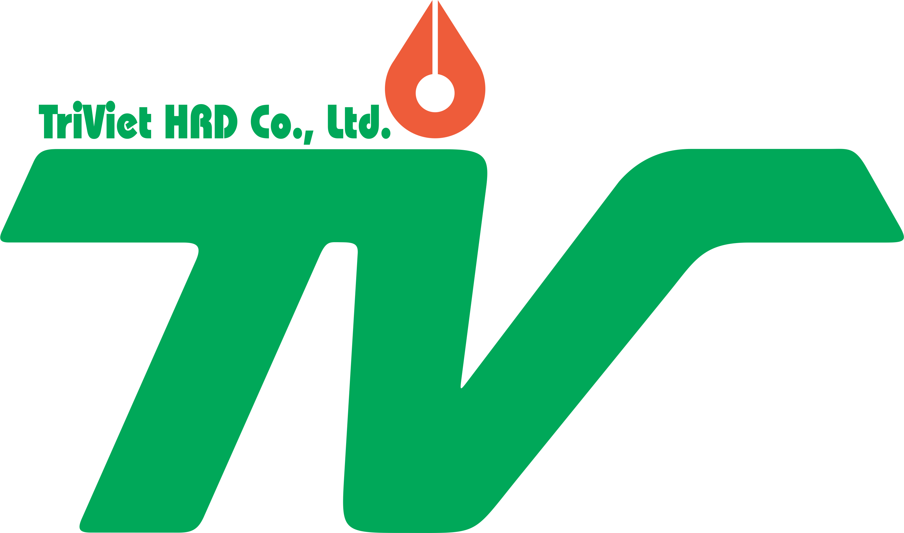 CÔNG TY TNHH TM&DV NHÂN LỰC TRÍ VIỆT