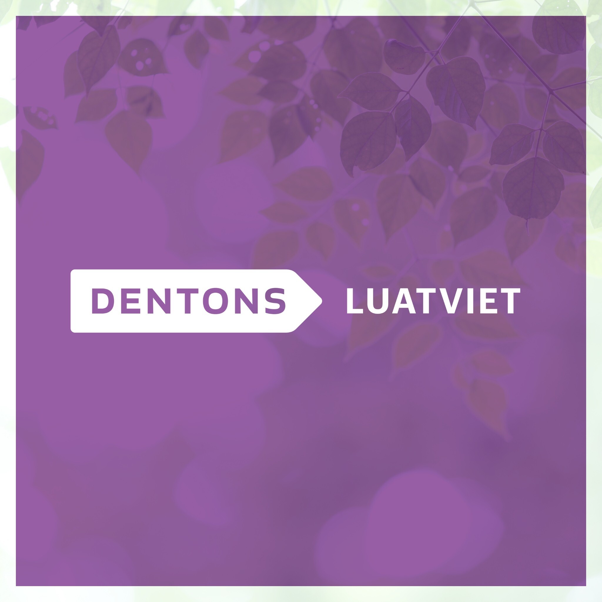 Luật Việt - Dentons LuatViet