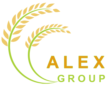 Logo Alex