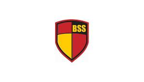 Logo Dịch vụ Bảo vệ Ngân Hàng (BSS)