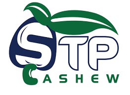 Logo STP Food