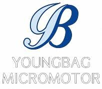 Công Ty TNHH Youngbag Micromotor Việt Nam