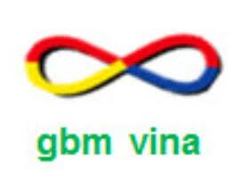 Gbm VINA