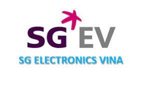 Logo Sg Electronics Vina
