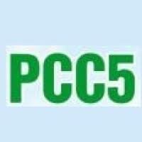 Pioneer Consulting Services