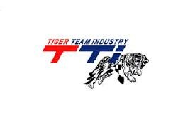 Logo Tiger Team Industry