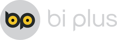 Công ty Cổ phần Giải pháp Phần mềm Biplus Việt Nam
