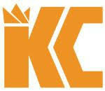 Pioneer Consulting Services