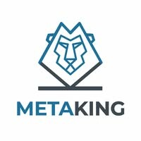 CÔNG TY TNHH METAKING