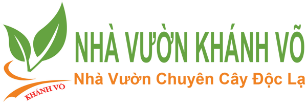 Công Ty Cây Cảnh Ngoại Nhập Khánh Võ