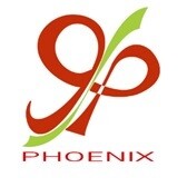 Logo Phoenix7