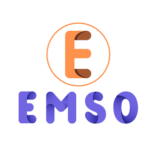 Logo EMSO VIỆT NAM