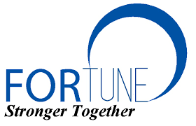 FORTUNE VIET NAM TRADING COMPANY LIMITED