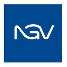 Logo NVG GROUP