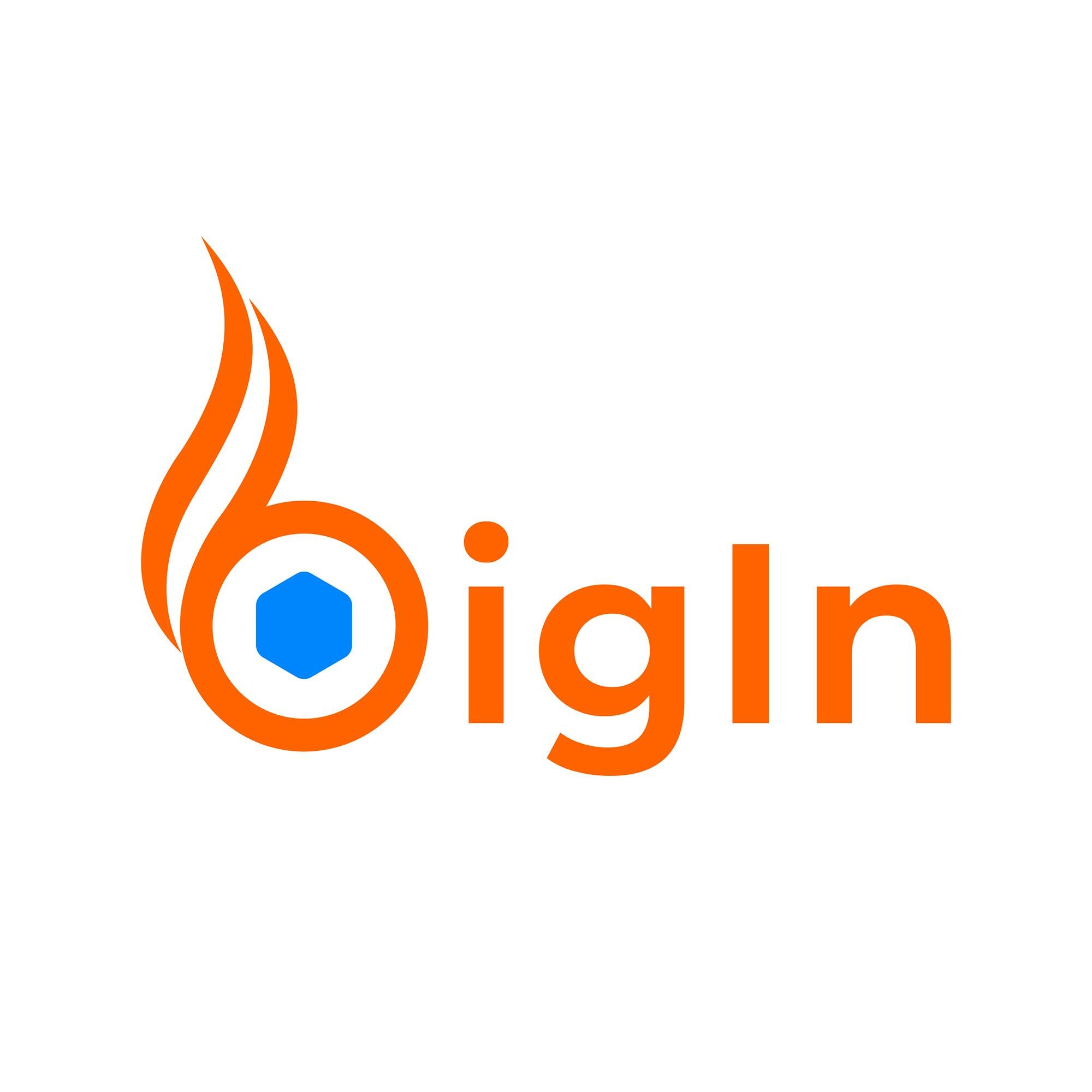 Logo BIGIN