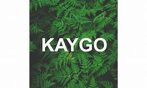 Logo Công Ty Cổ Phần Kaygo
